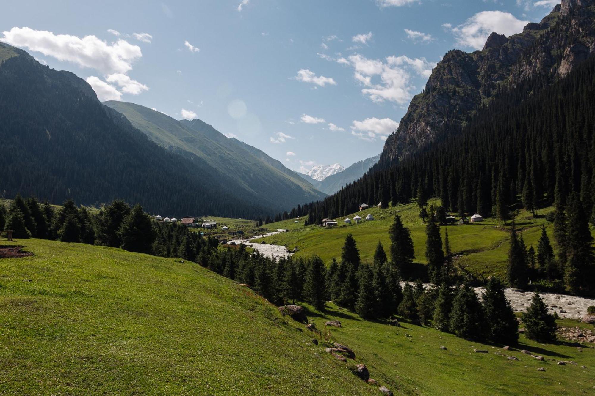 Eco Yurt Camp Arashan Hotel Teploklyuchenka ภายนอก รูปภาพ